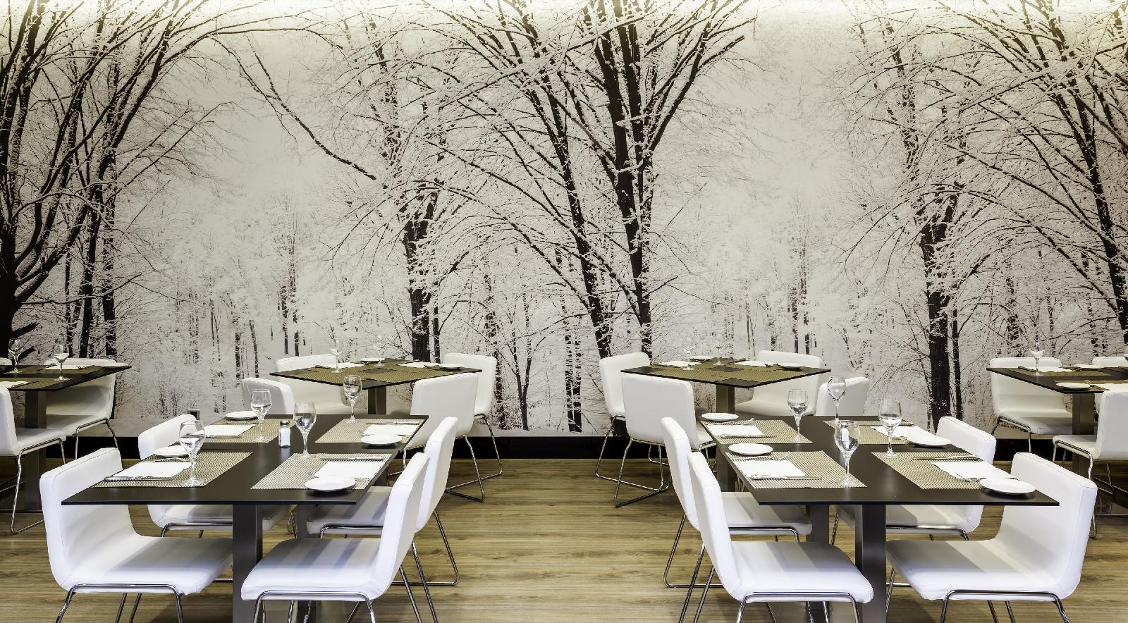 Hotel Ilunion Suites Madrid