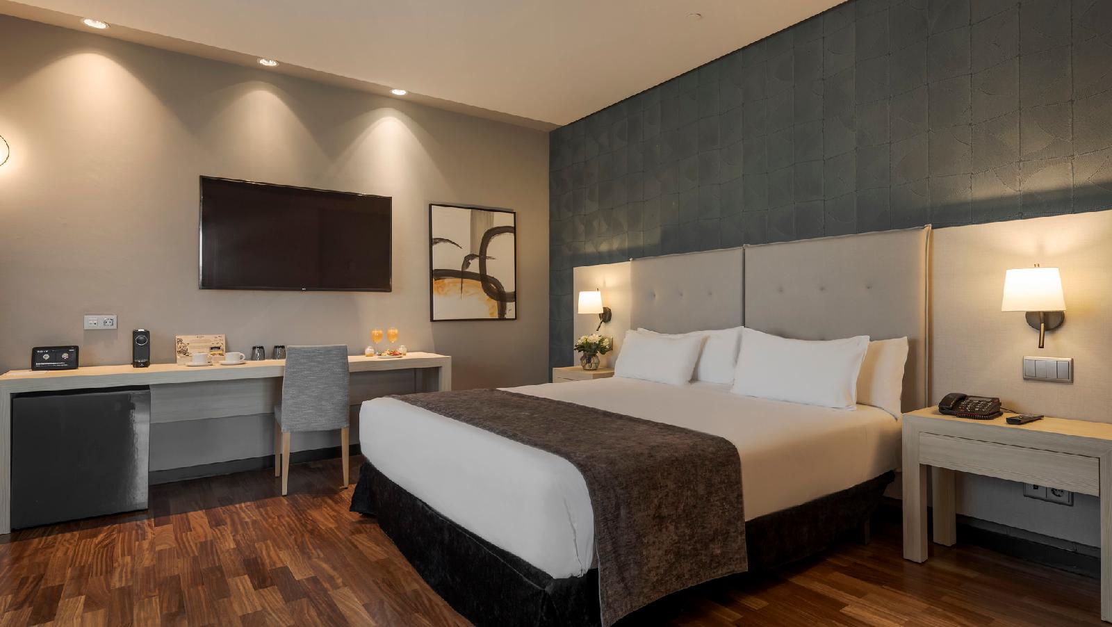 Hotel Ilunion Pio XII