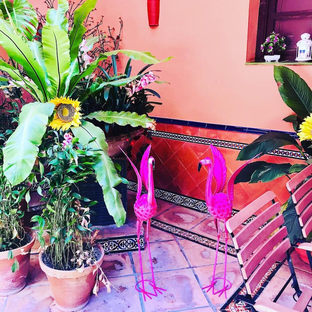 Hotel Patio De La Alameda