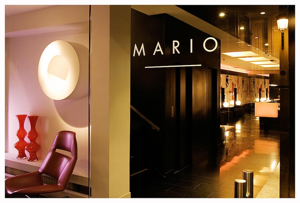 Room Mate Mario