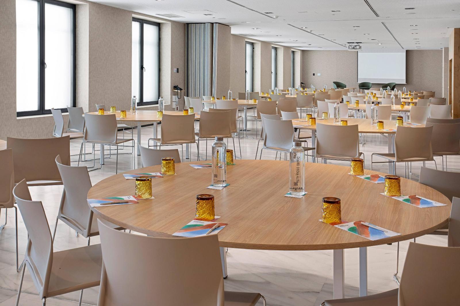 Meliá Madrid Serrano