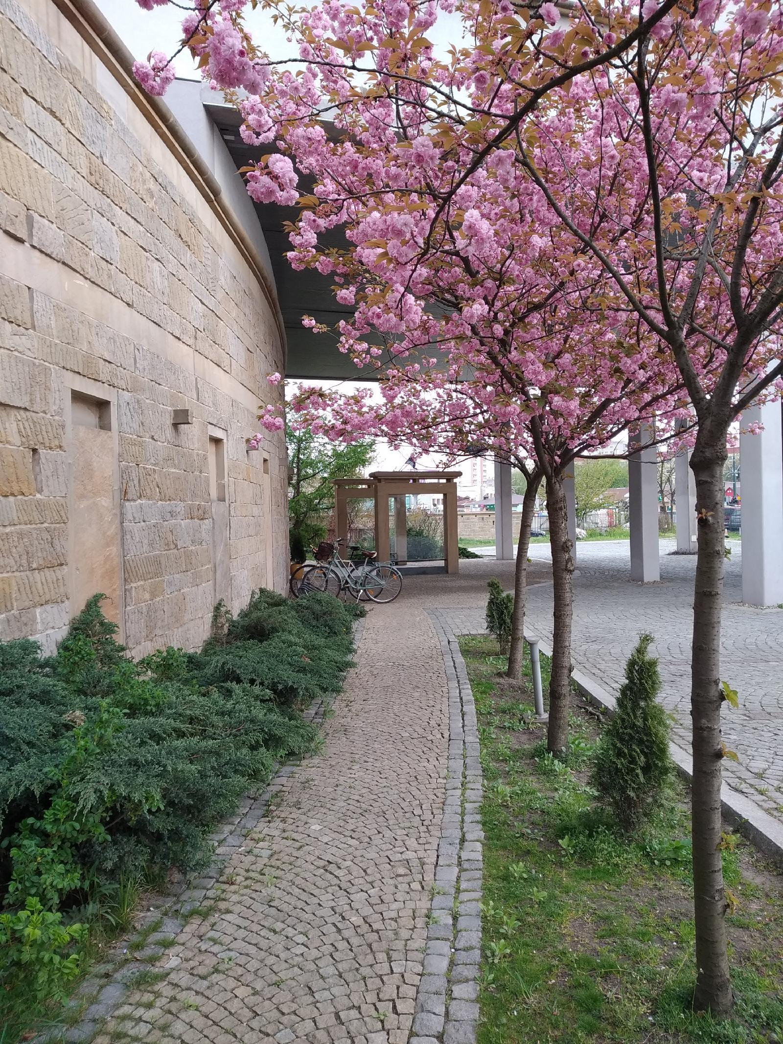 Zakrzowek Residence