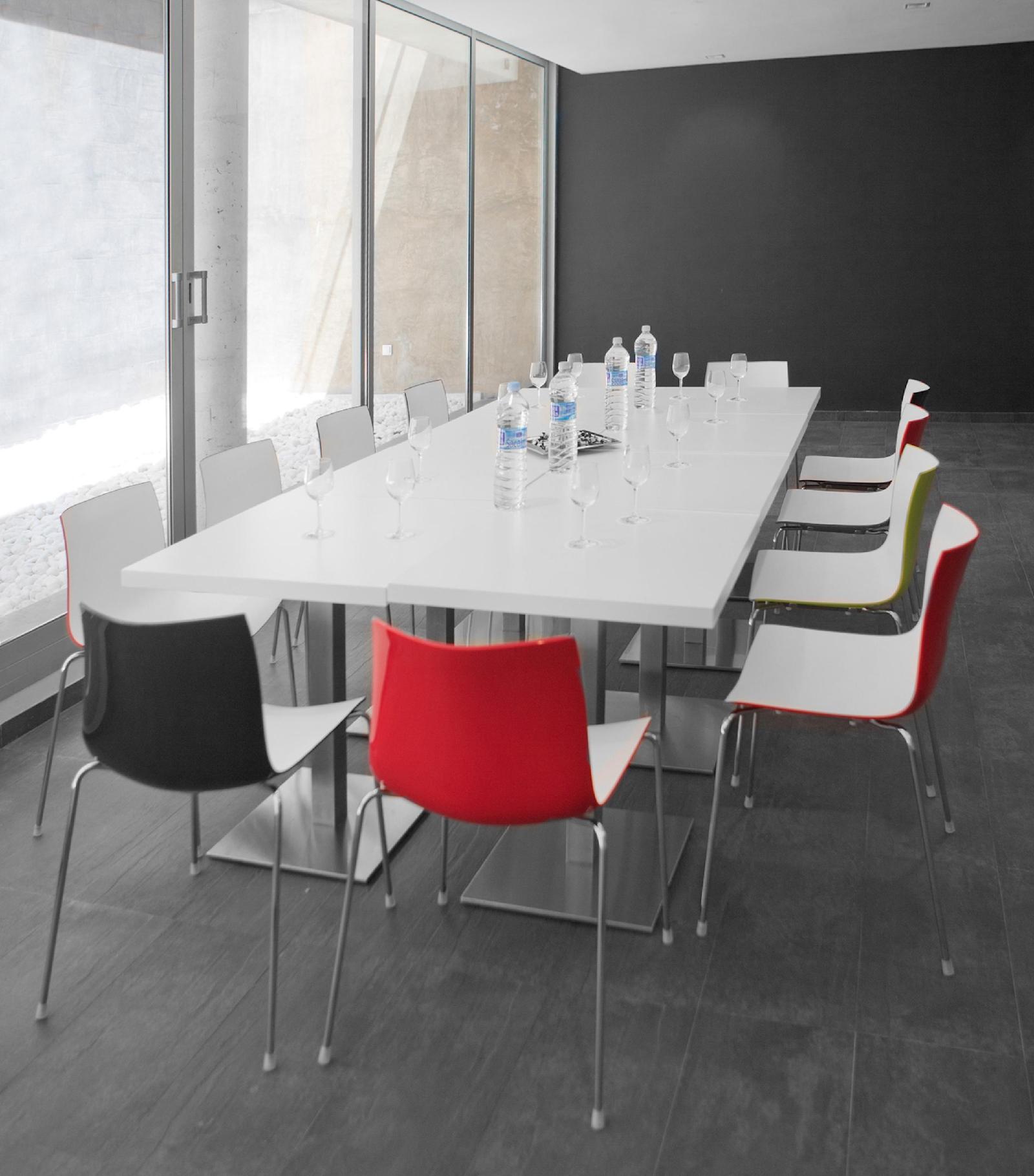 Onix Liceo