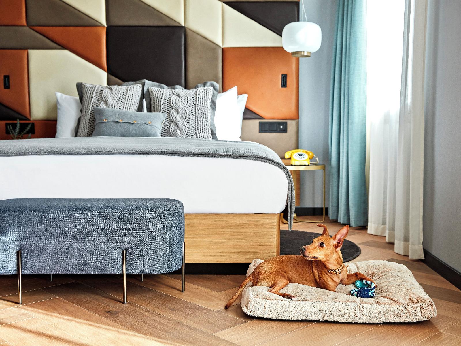Kimpton Vividora Hotel By Ihg