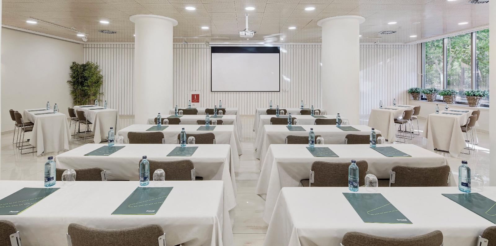 Sercotel Los Llanos