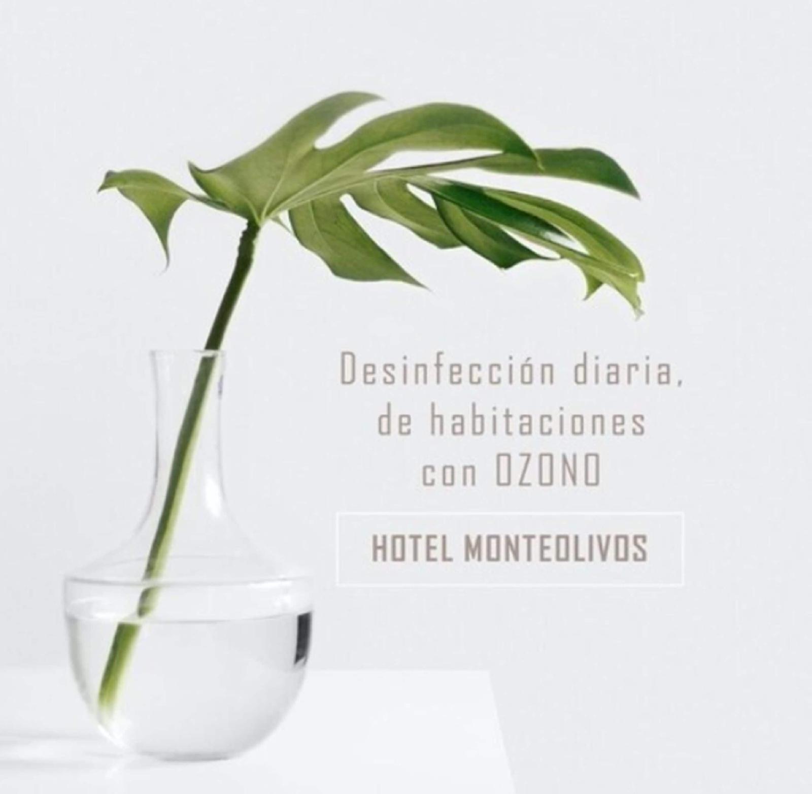 Aacr Monteolivos Hotel