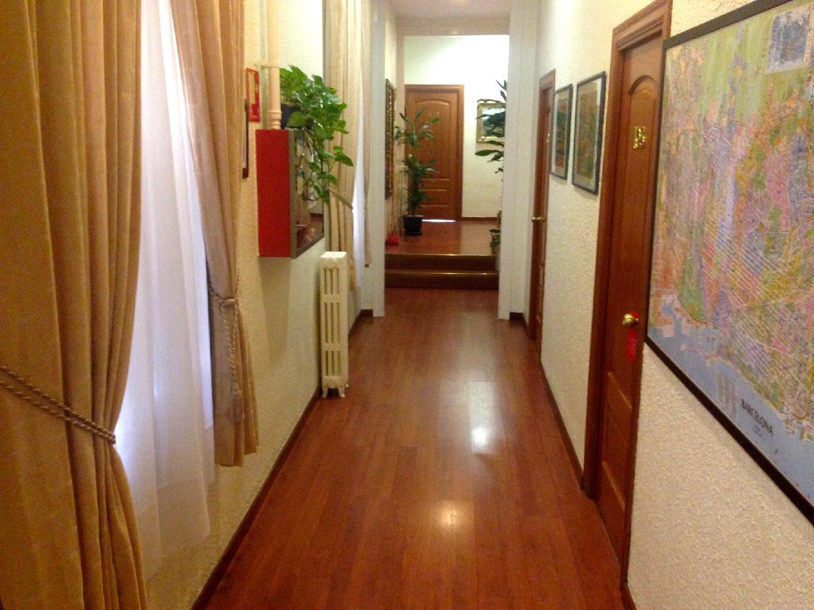 Studios Pelayo