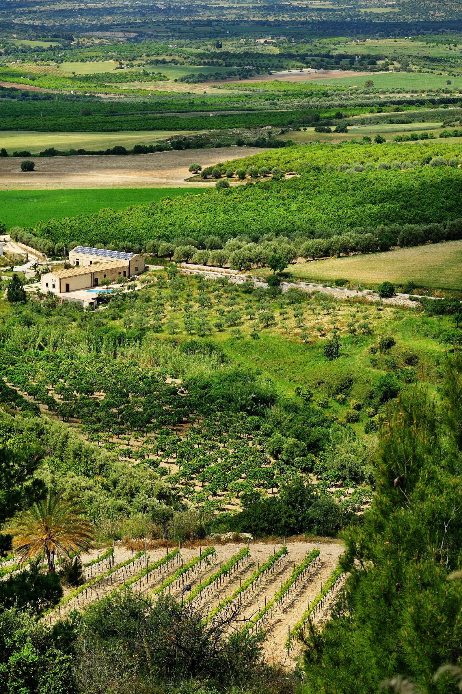 Kallikoros Country Resort & Spa