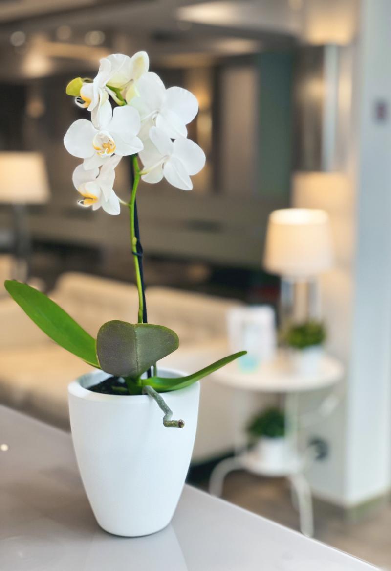Sm Hotel Sant Antoni