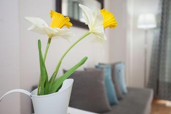Fuencarral Apartments
