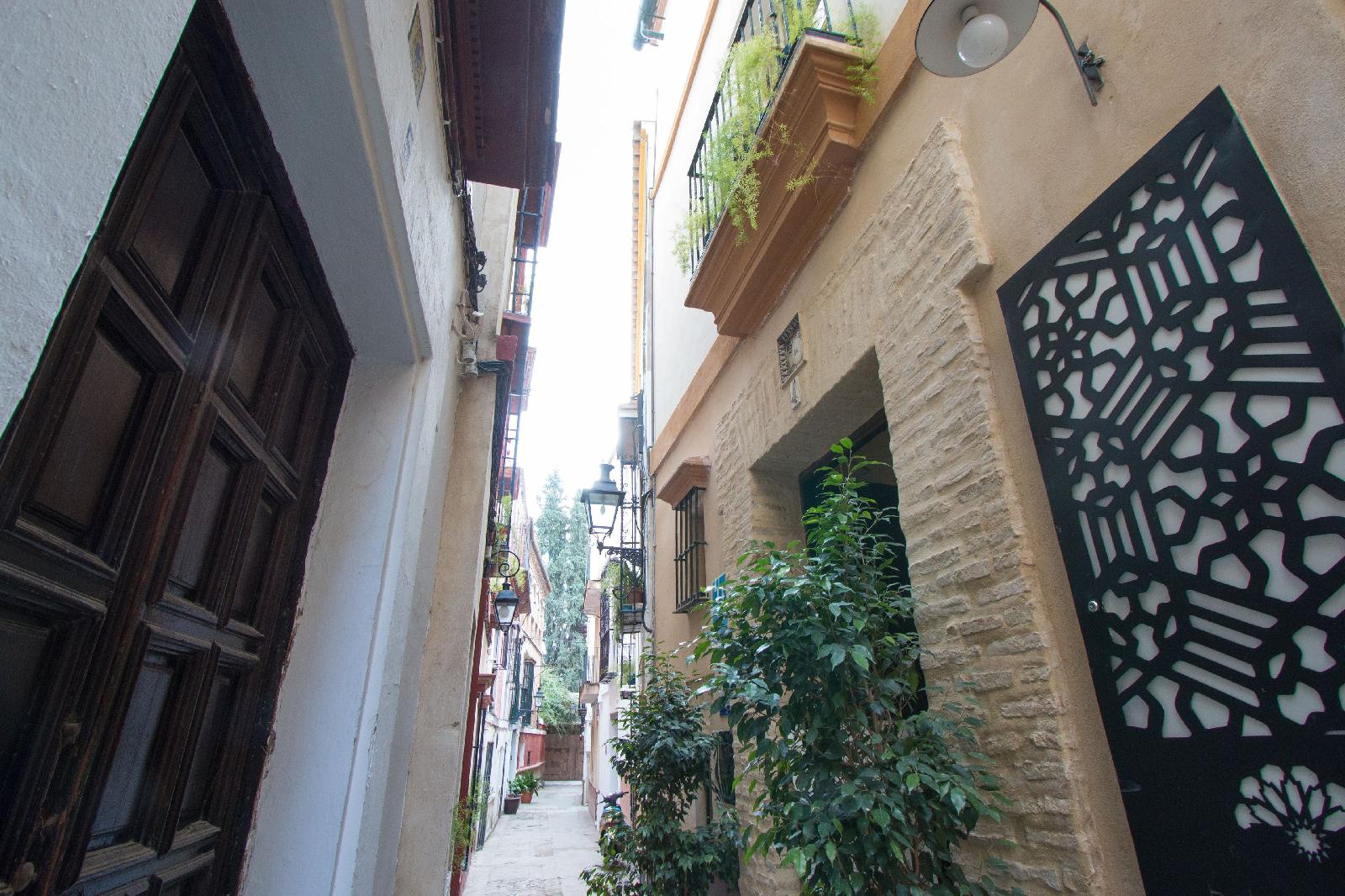 Apartamentos Suites Santa Cruz