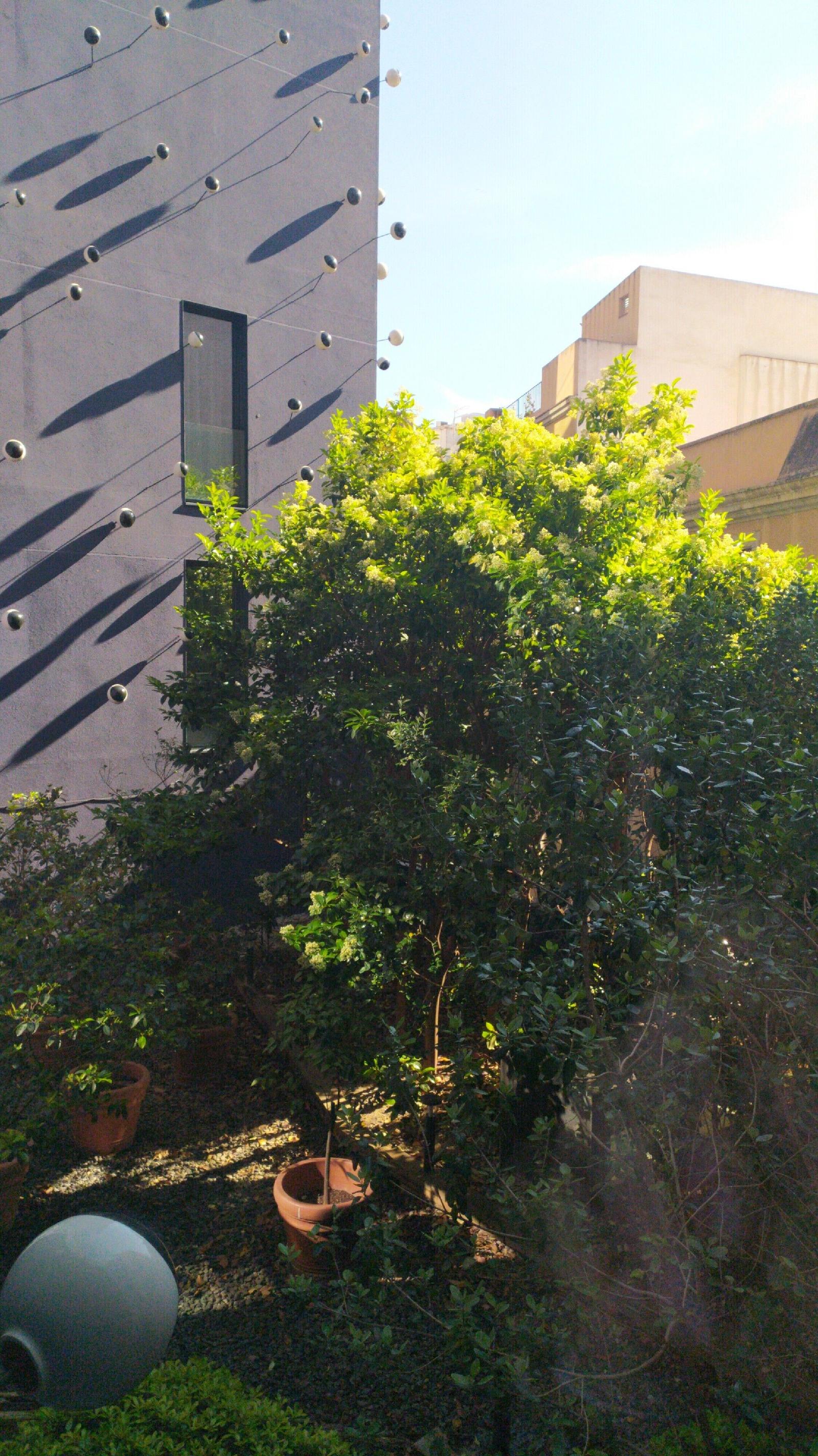 Ohla Barcelona