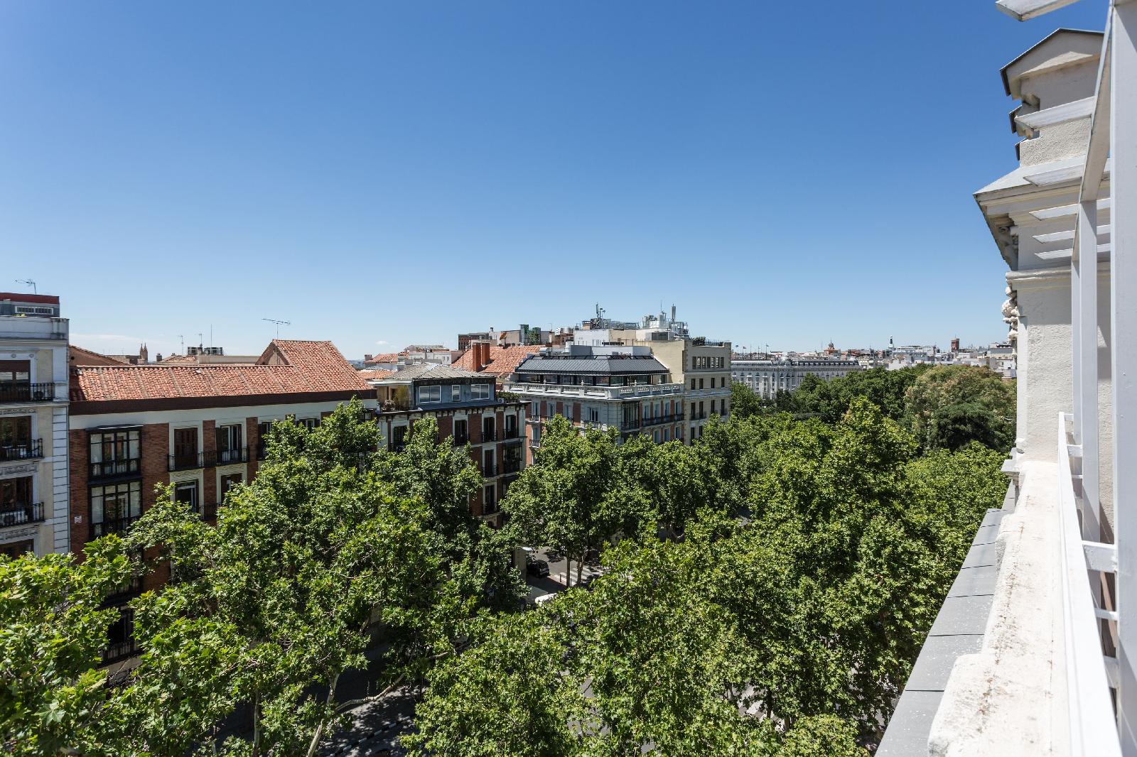 Petit Palace Lealtad Plaza