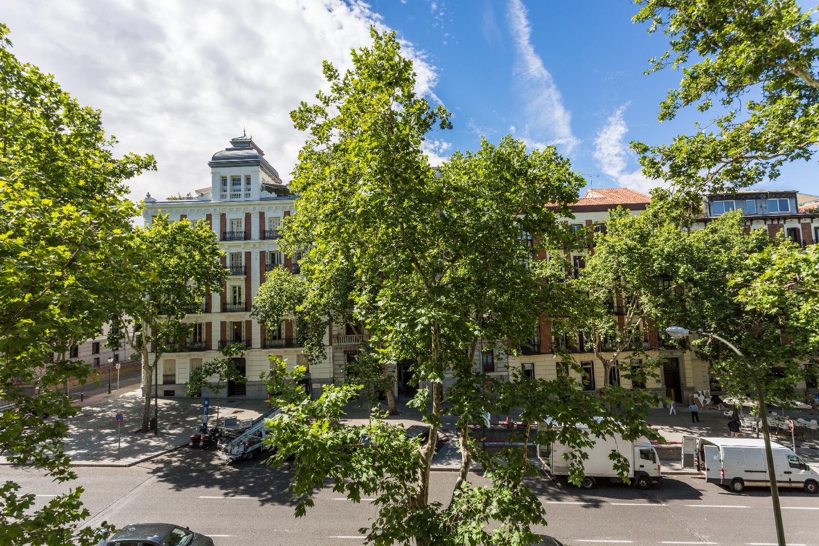 Petit Palace Lealtad Plaza