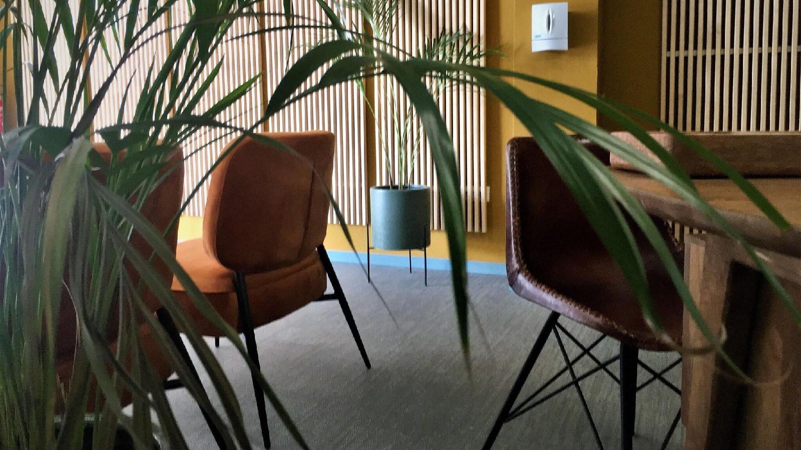 Md Modern Hotel - Jardines
