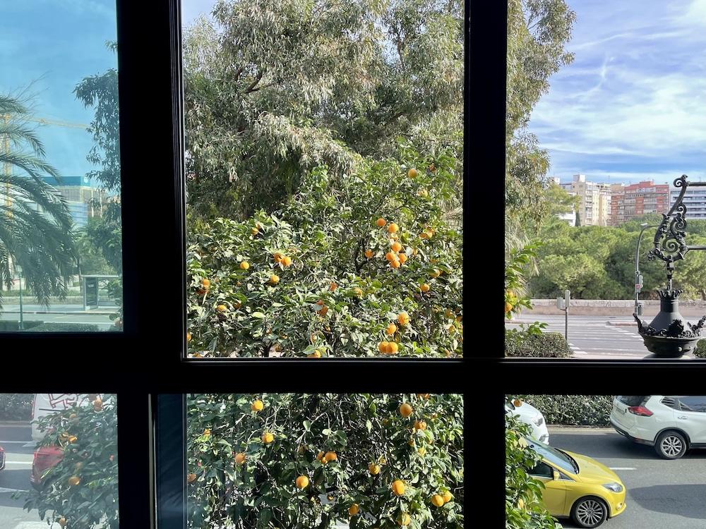 Md Modern Hotel - Jardines