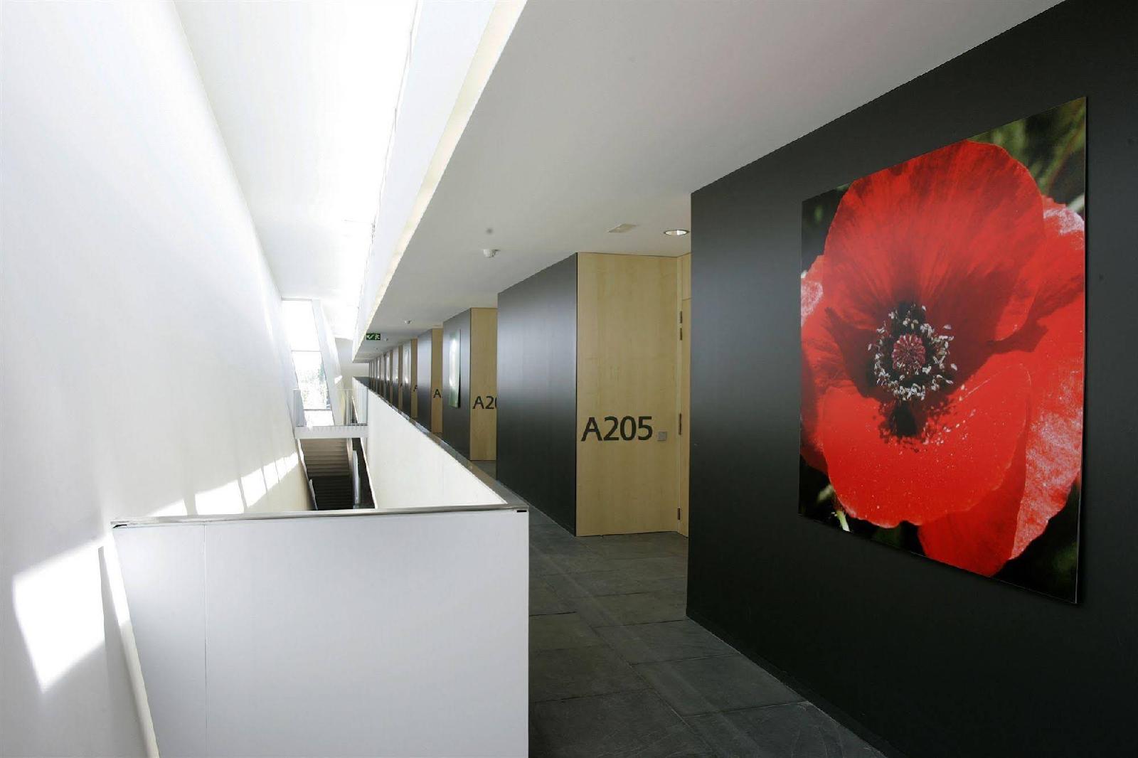 Alberg Centre Esplai