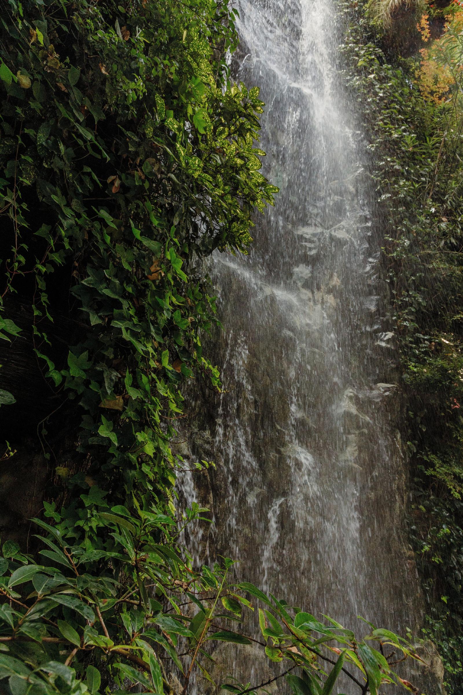 Inhala Hotel Garden