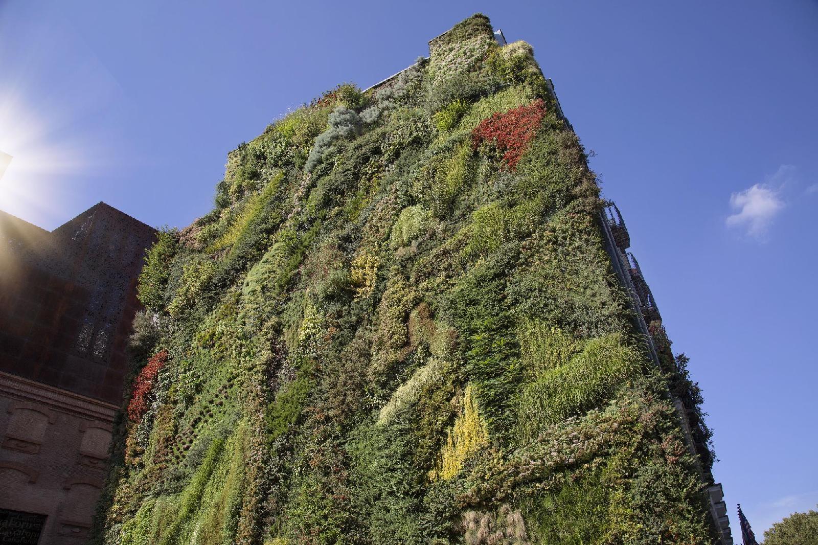 Ch Lemon Rooms