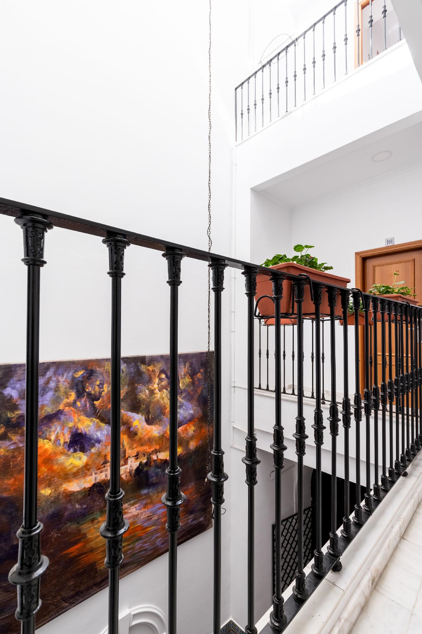 Cool Sevilla Hotel