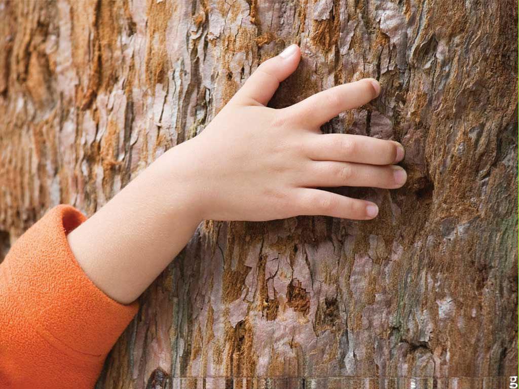 Ibis Budget Valencia Aeropuerto
