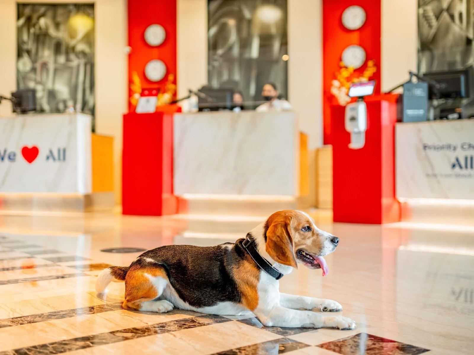 ibis Barcelona Centro (Sagrada Familia)