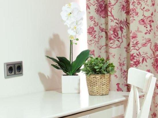 Hostal Matheu