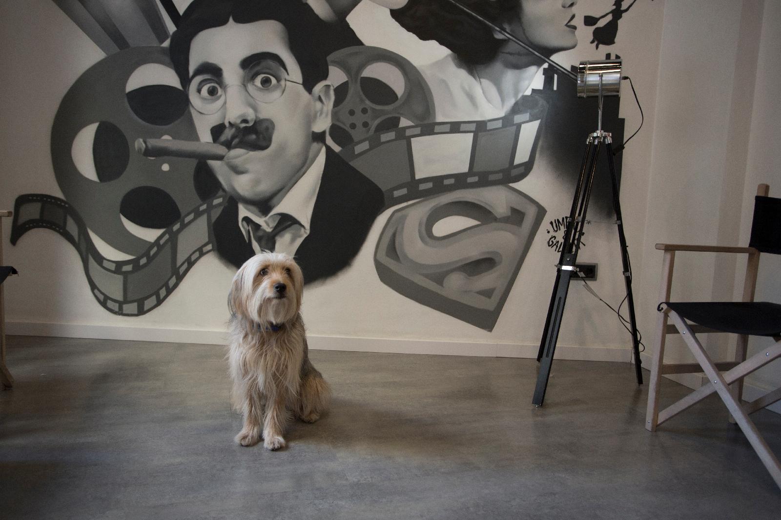 Casual Del Cine Valencia Hotel By Casual Hoteles