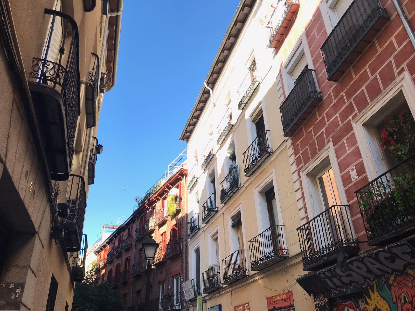 Pensión Estrella
