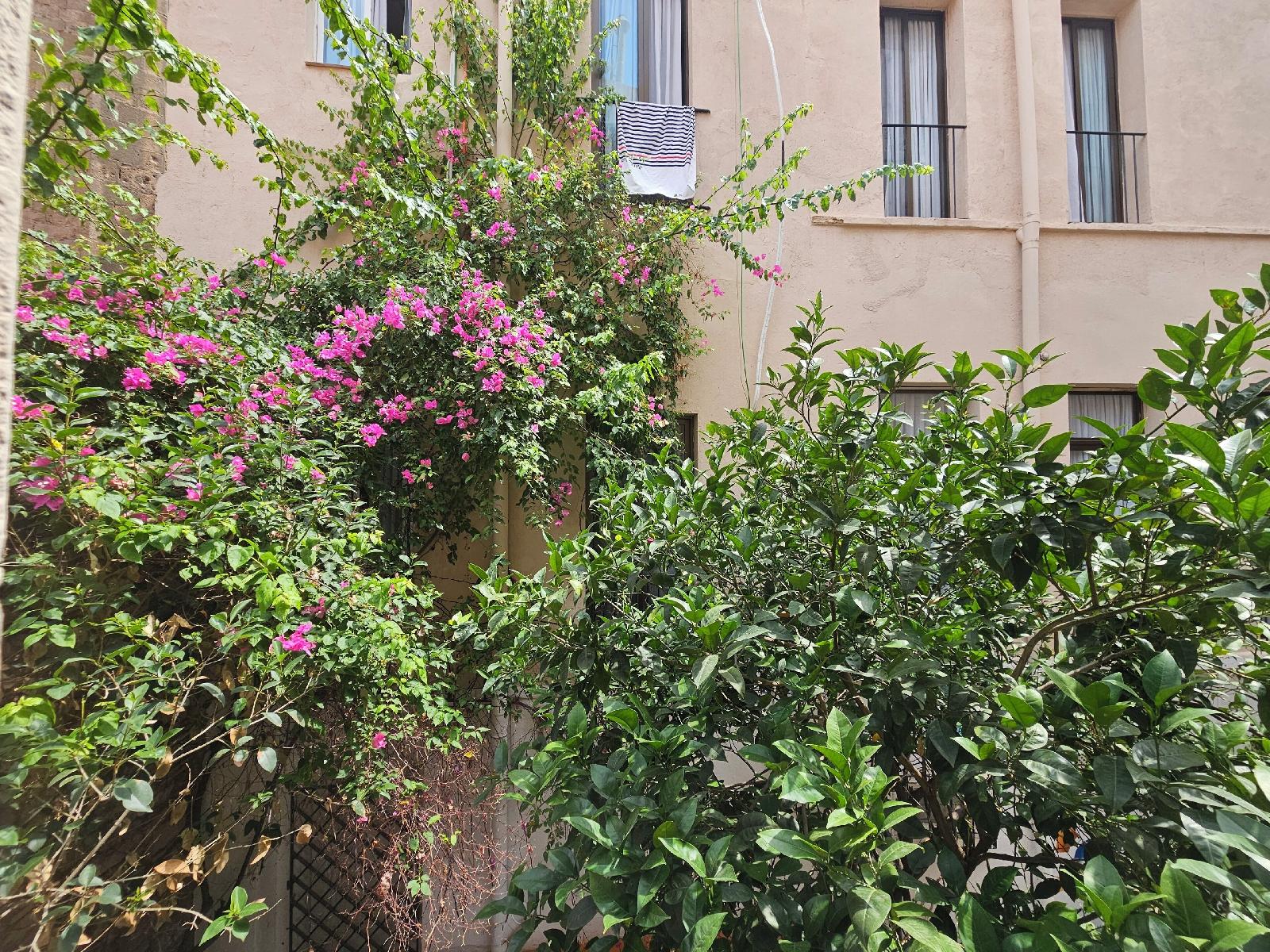 Hotel Palermo Barcelona
