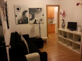 Flat55madrid