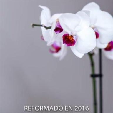 Di Carlo Hotels Madrid