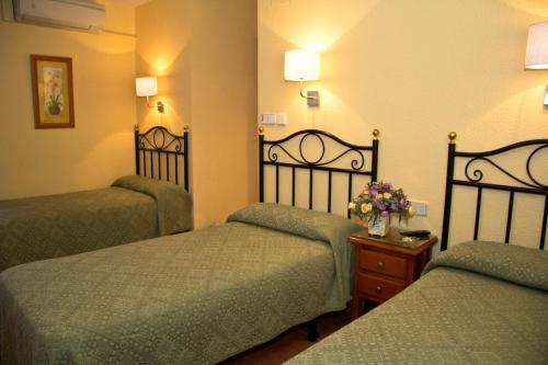 Hostal Los Alpes