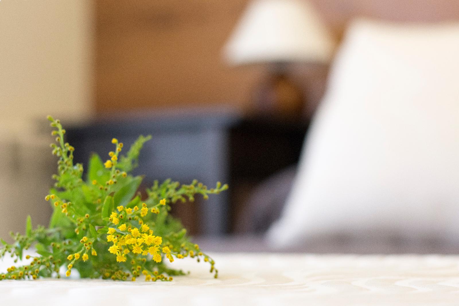 Hostal Art Madrid