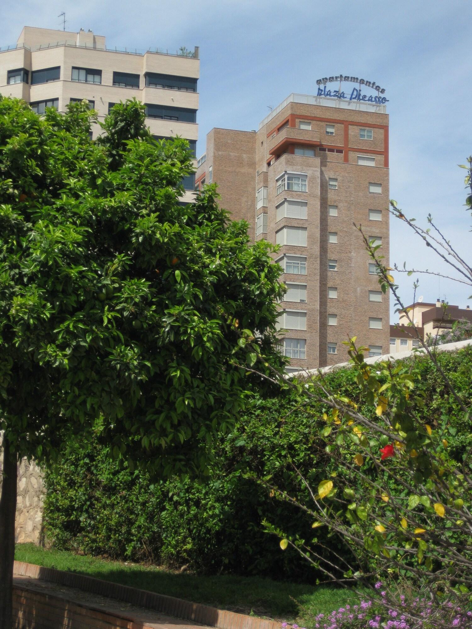 Apartamentos Plaza Picasso