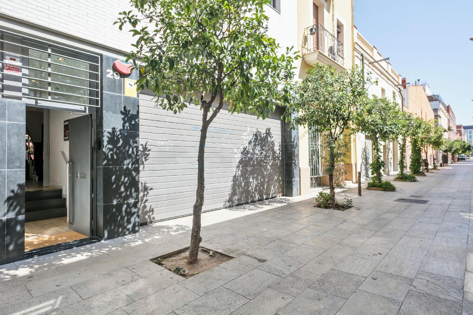Lugaris Rambla