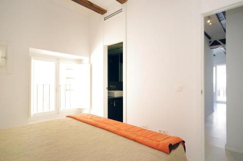 Apartmentos Mosen Sorell