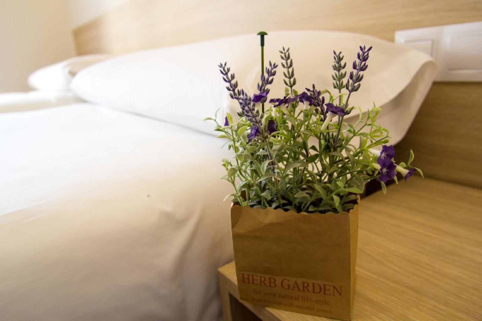Hostal Barcelona Travel