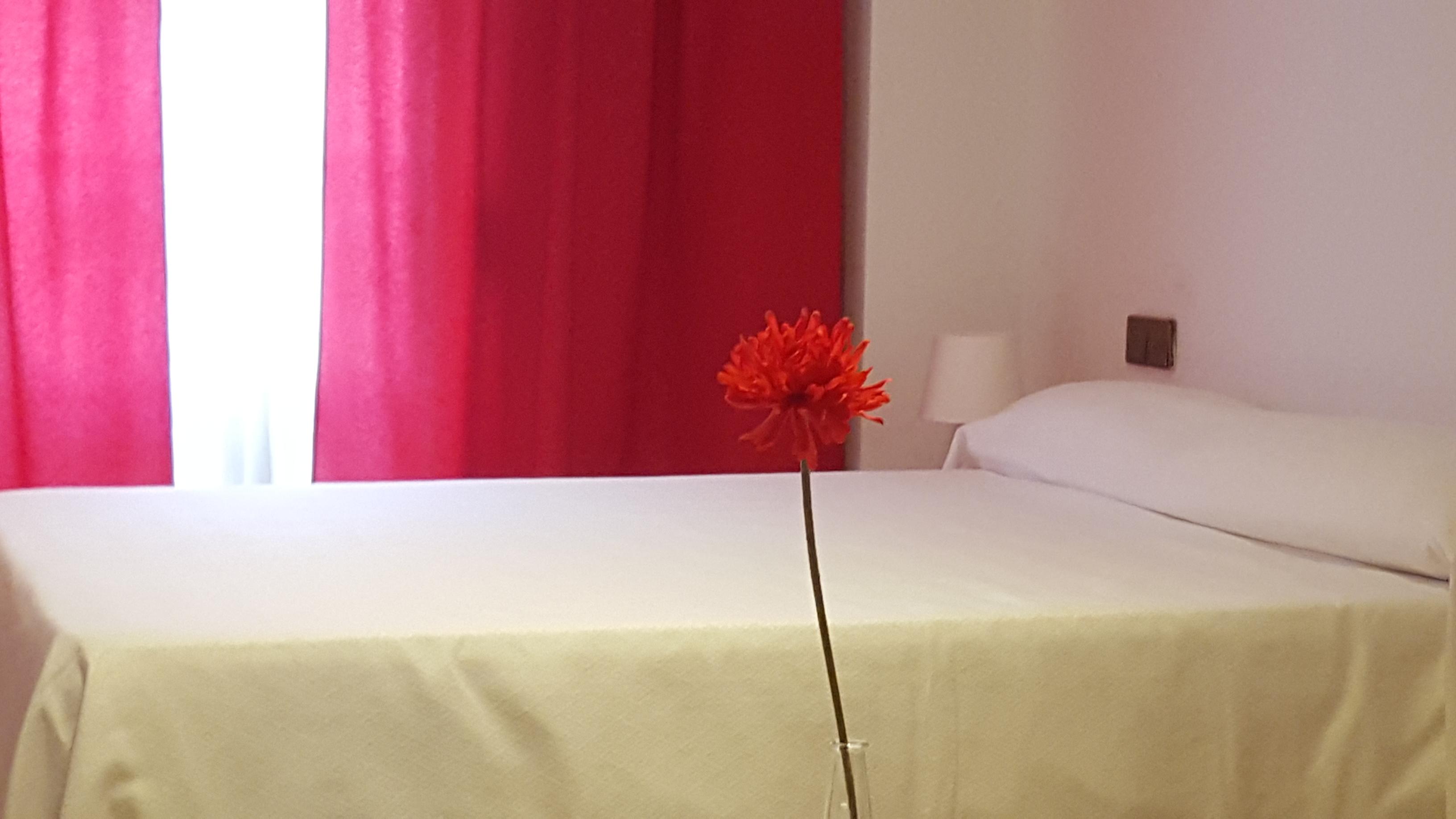 Apartamentos Doña Lola