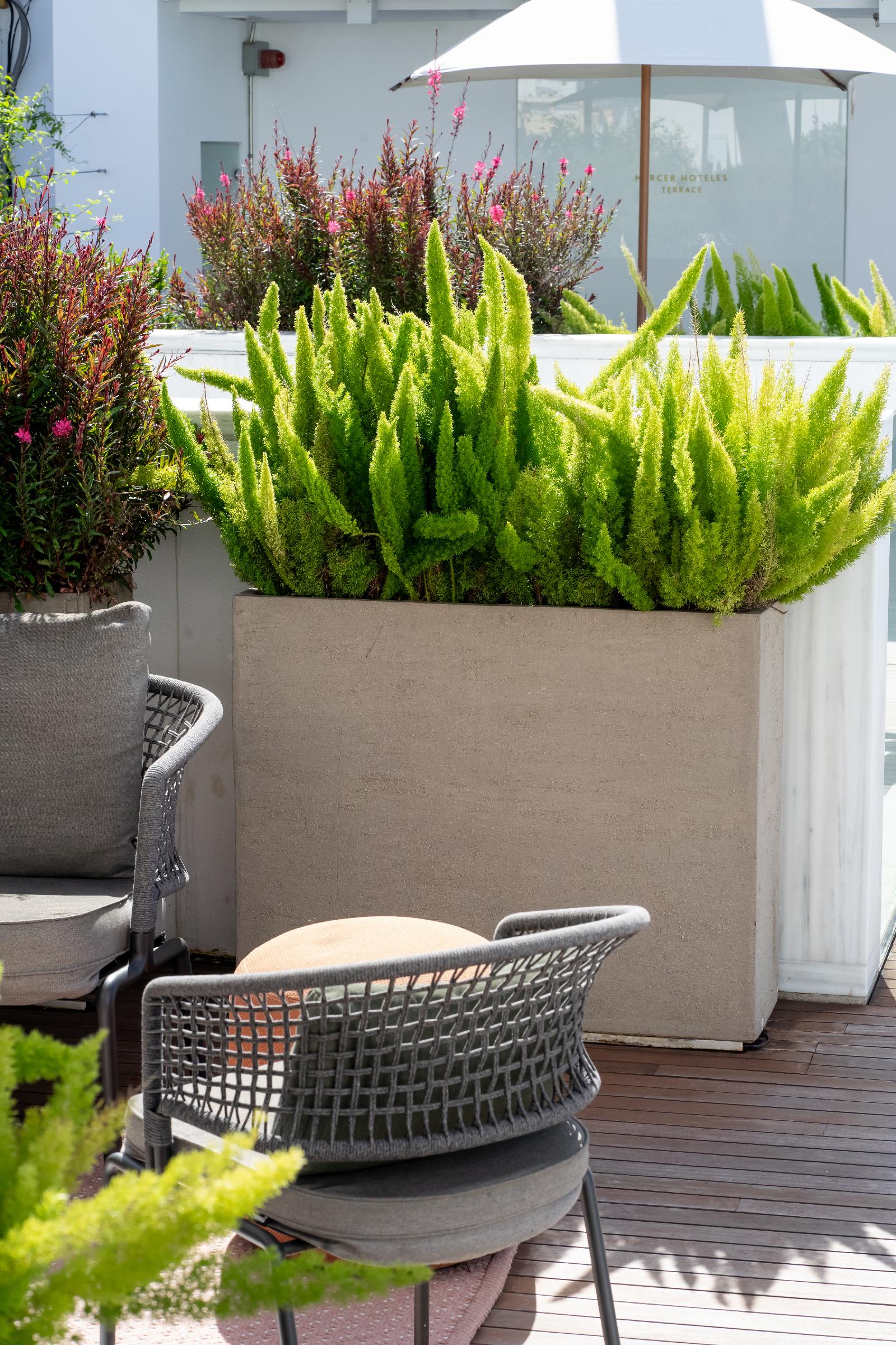 Hotel Mercer Sevilla 5 Gl