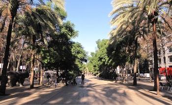 My Address In Barcelona Downtown