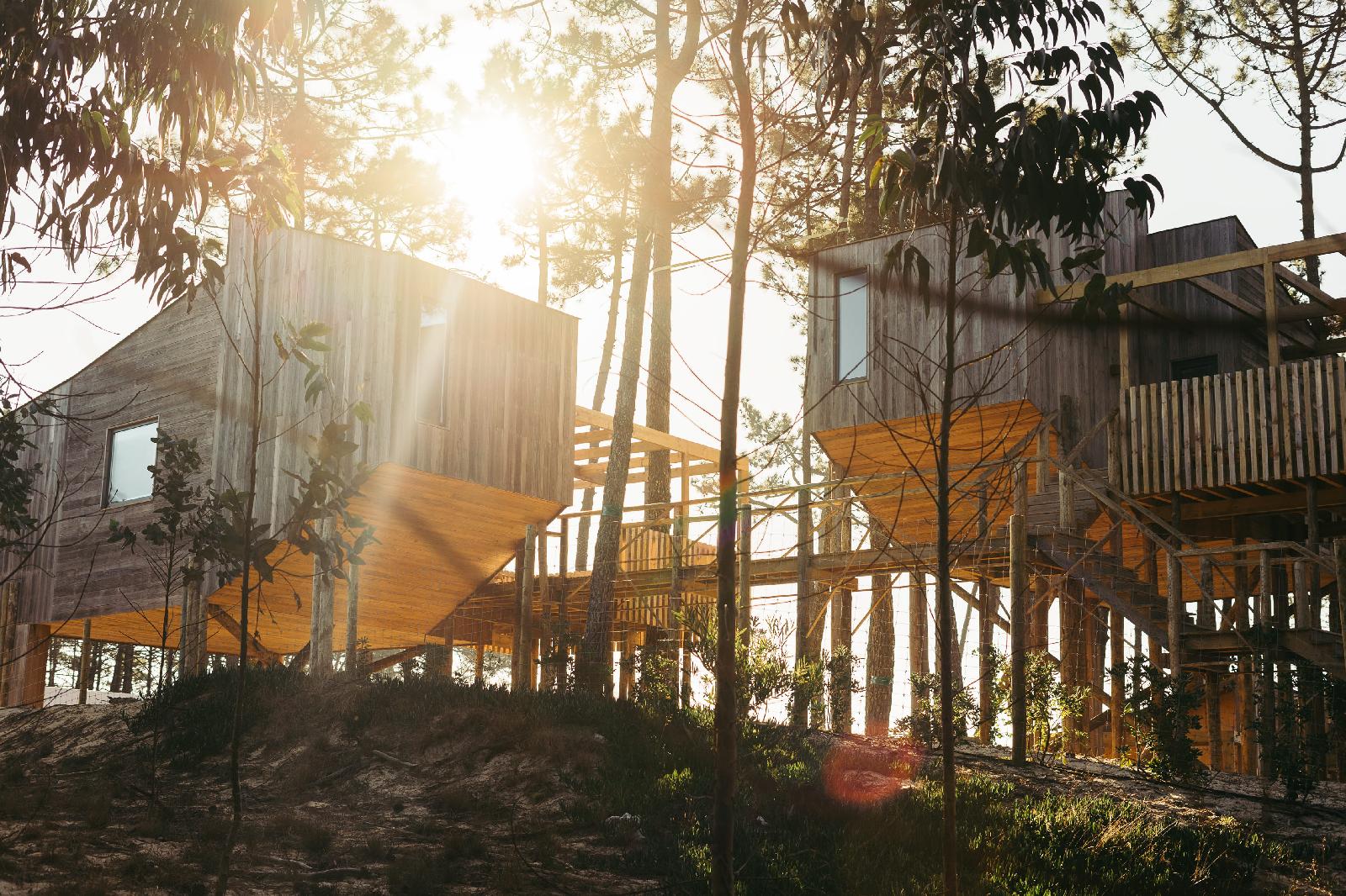 Bukubaki Ecosurf
