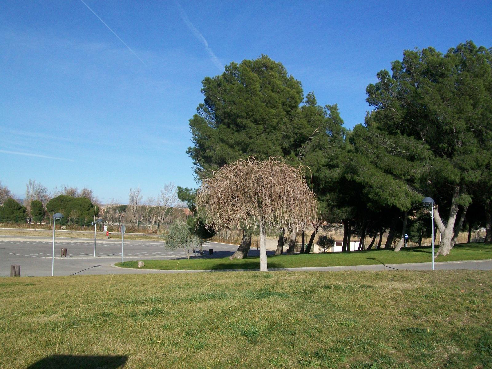 Camping De Zaragoza