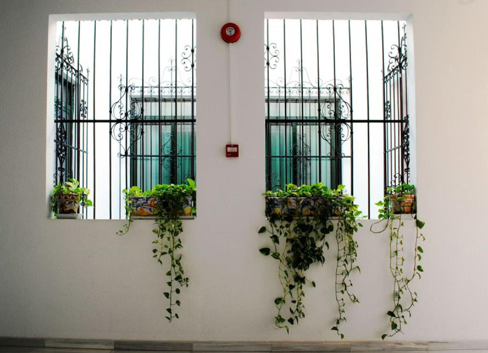 Basic Hotel Sevilla Catedral