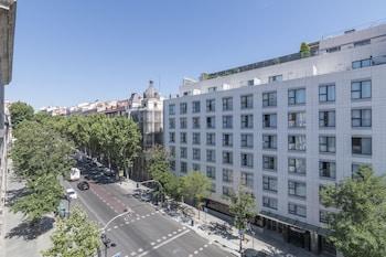 Colectia Stays Atocha