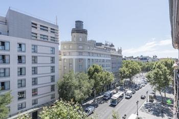 Colectia Stays Atocha
