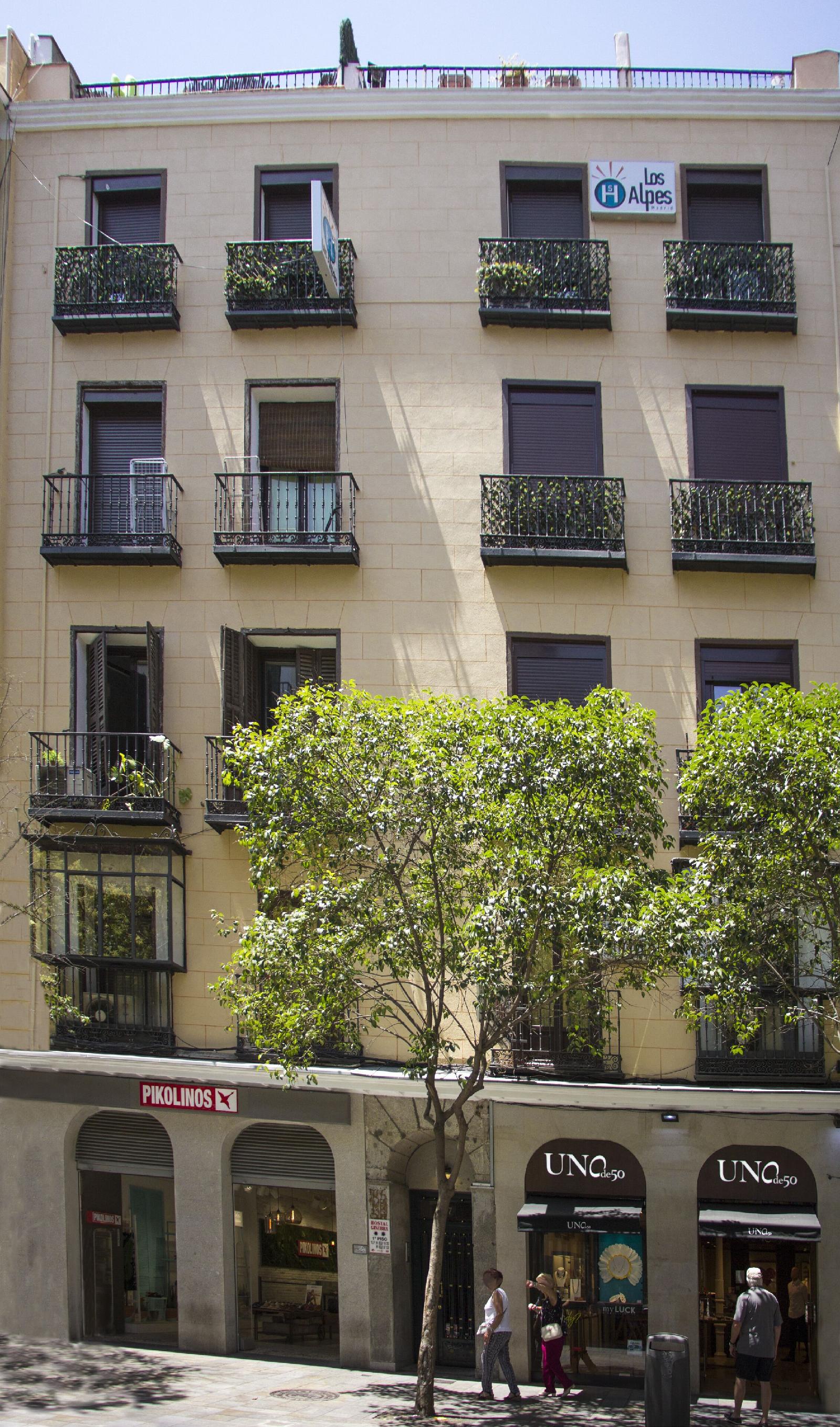 Ava Rooms