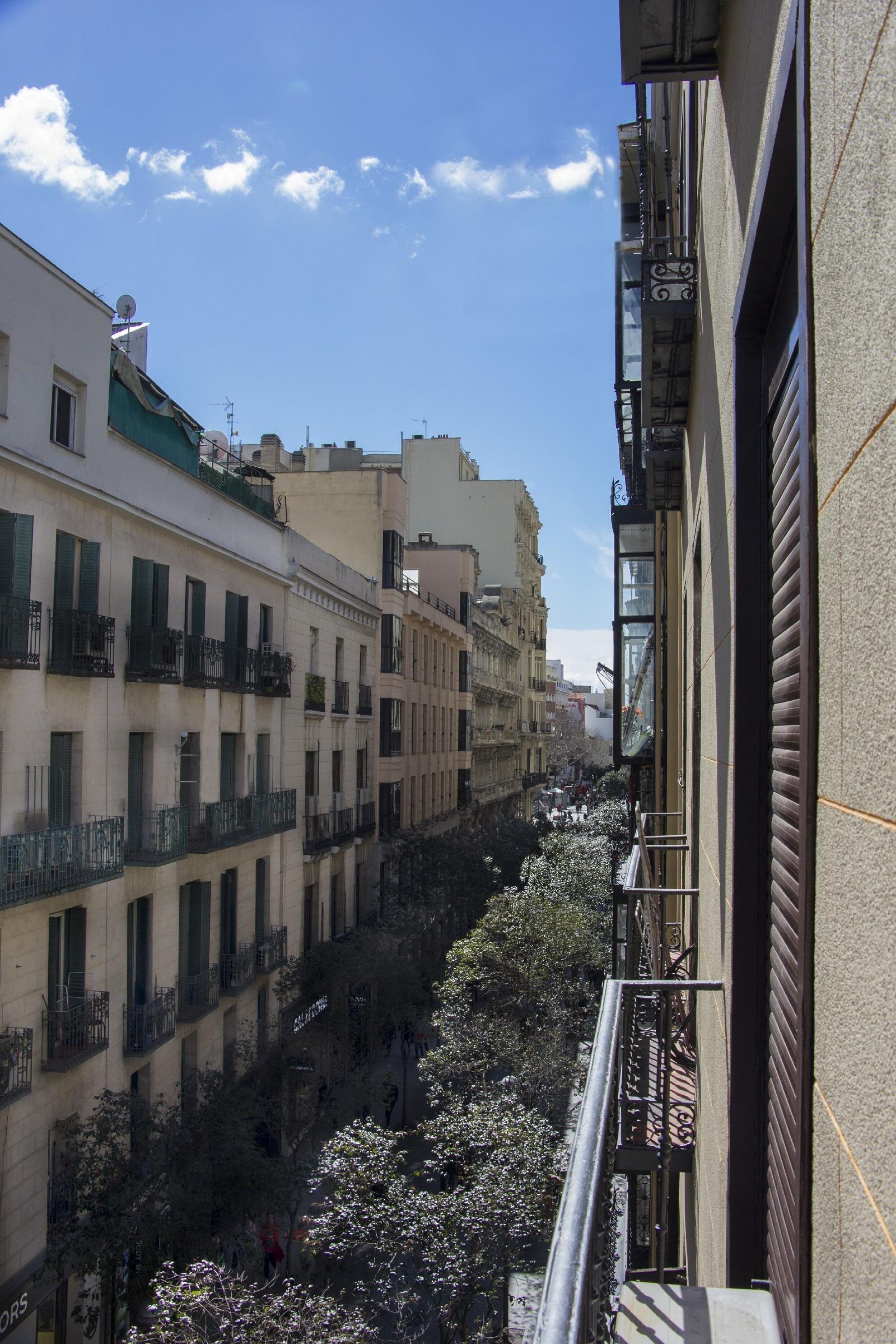 Ava Rooms
