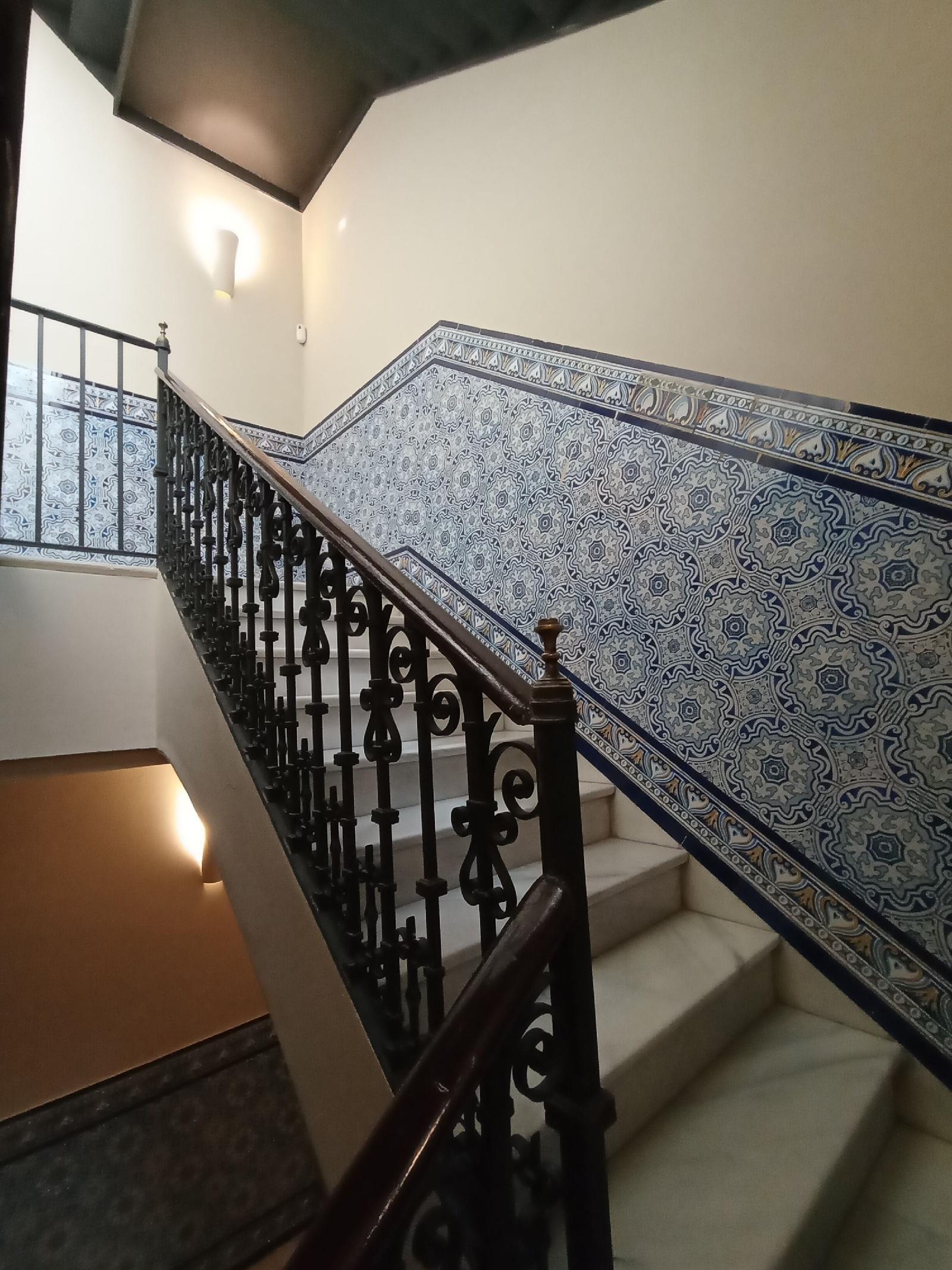 Colectia Parada Del Marqués.