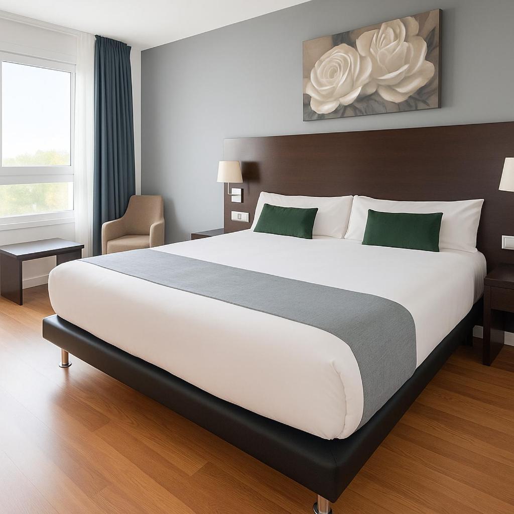 Vtz Hotel Plaza España